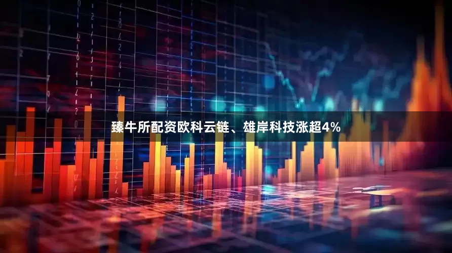 臻牛所配资欧科云链、雄岸科技涨超4%