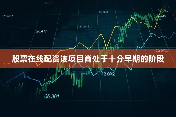 股票在线配资该项目尚处于十分早期的阶段