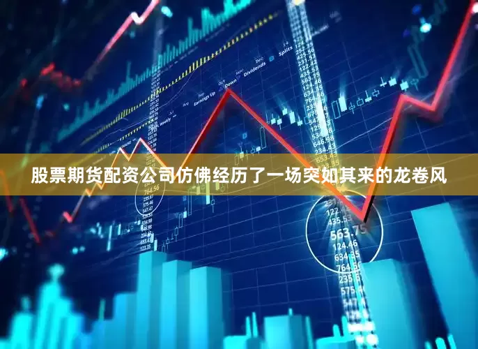 股票期货配资公司仿佛经历了一场突如其来的龙卷风