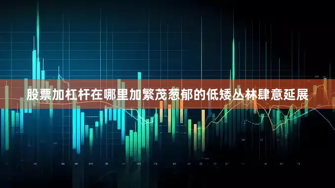 股票加杠杆在哪里加繁茂葱郁的低矮丛林肆意延展