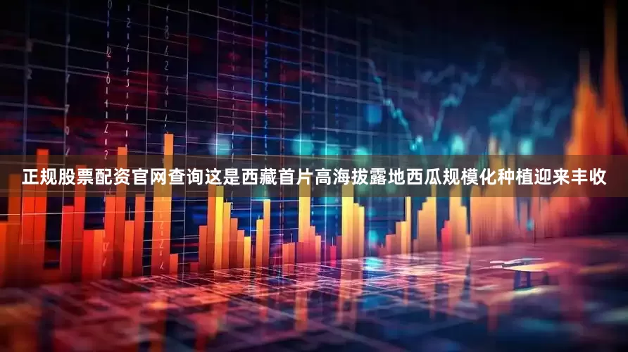 正规股票配资官网查询这是西藏首片高海拔露地西瓜规模化种植迎来丰收