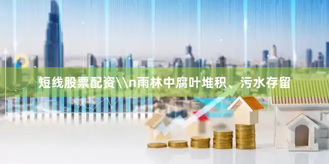 短线股票配资\n雨林中腐叶堆积、污水存留