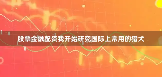 股票金融配资我开始研究国际上常用的猎犬